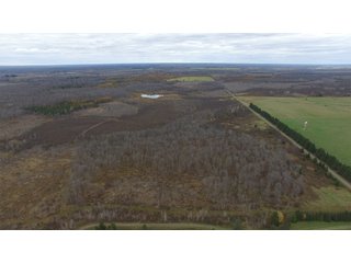 Property photo 21 - REAL ESTATE AUCTION - 1,428+/- ACRES OFFERED IN 10 TRACTS IN PRICE CO., WI